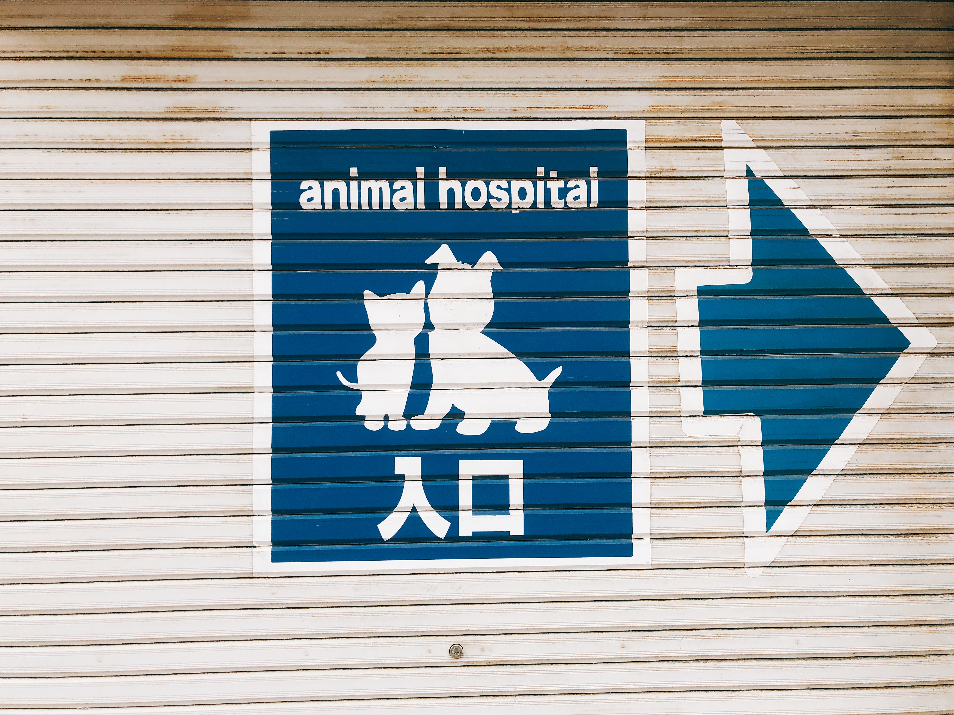 清澄白河周辺の動物病院・ペットショップのまとめ